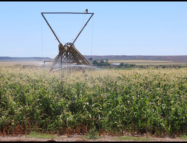 213HA FARM FOR SALE IN HOPETOWN RURAL